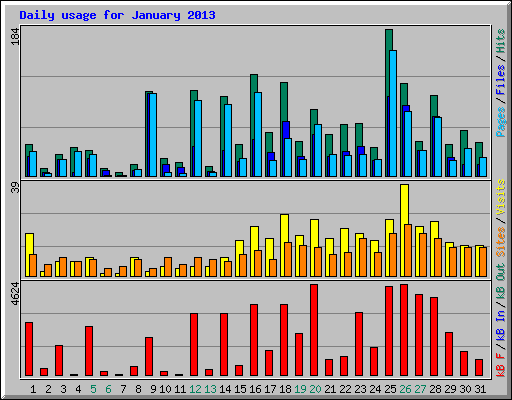 Daily usage for January 2013