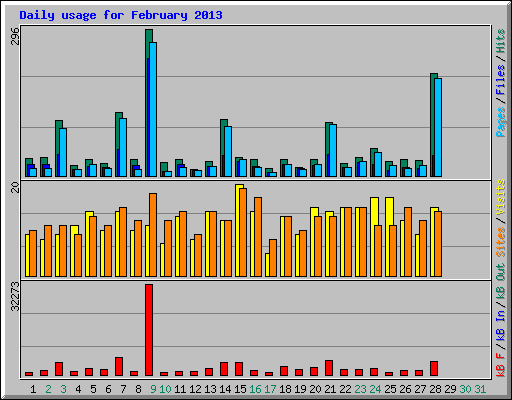 Daily usage for February 2013