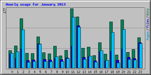 Hourly usage for January 2013