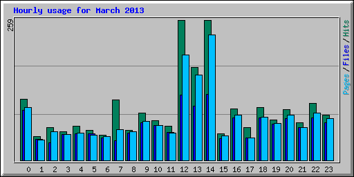 Hourly usage for March 2013