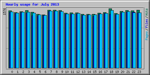 Hourly usage for July 2013